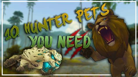 wow survival hunter best pet|coolest survival hunter pets.